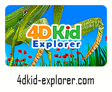 www.4dkid-explorer.com